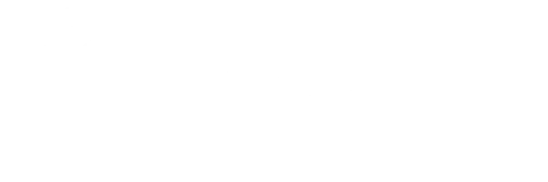 Motores y Portones LLC Logo